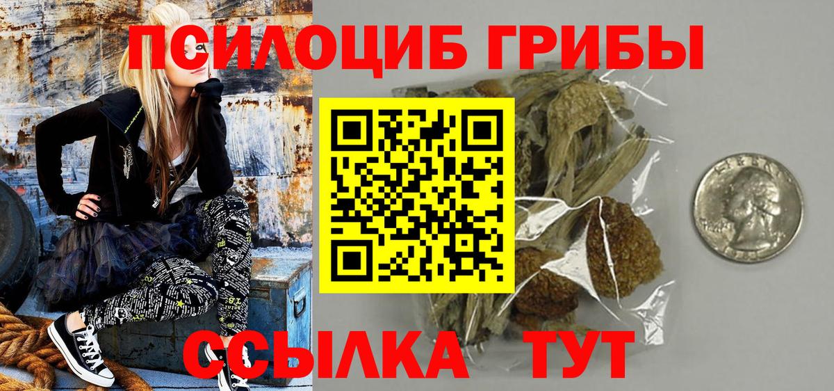 Галлюциногенные грибы прущие грибы  Вход с VPN  Гудермес 