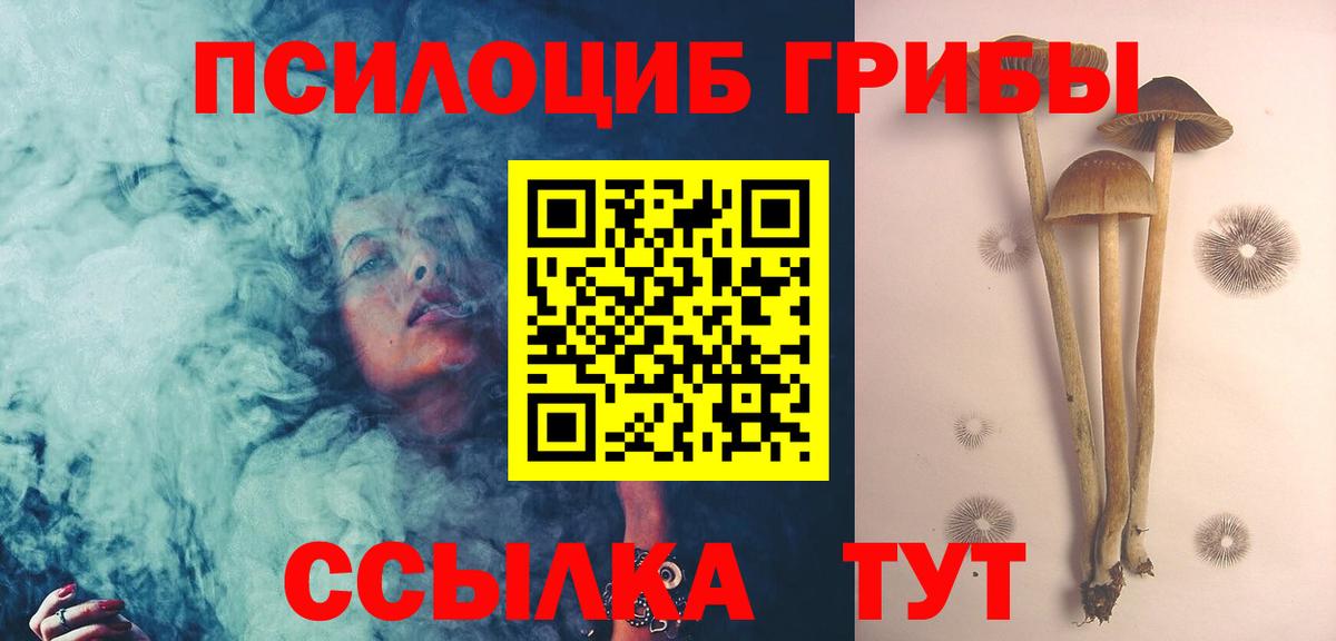 Псилоцибиновые грибы ЛСД Гудермес