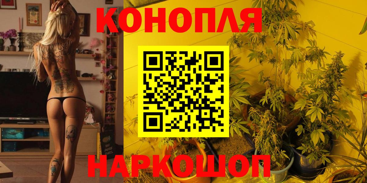 Марихуана семена  Бошки марихуана конопля  Гудермес  Вход с VPN  Бошки Шишки планчик  Каннабис THC 21% 